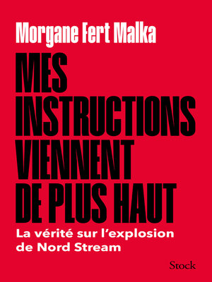 cover image of Mes instructions viennent de plus haut